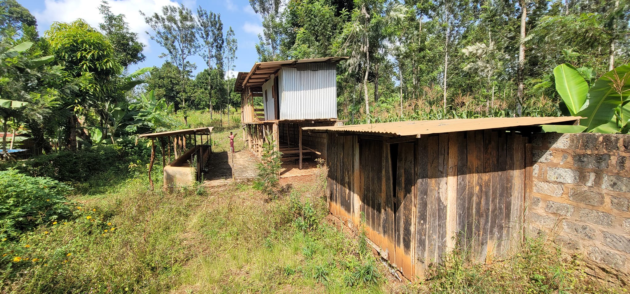 Half-Acre Plot of Land for Sale in Mutuguni Area Tharaka Nithi